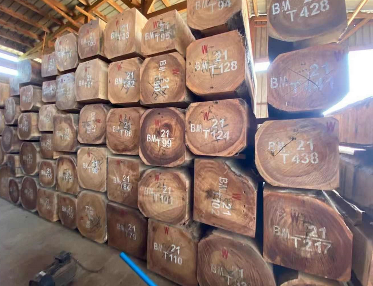 Phân phối và nhập khẩu gỗ - Công Ty Cổ Phần Thương Mại Và Vận Tải Biển SNT